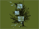 Pockets of Spring